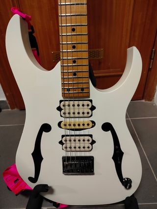 Ibanez PGM301 Paul Gilbert Signature