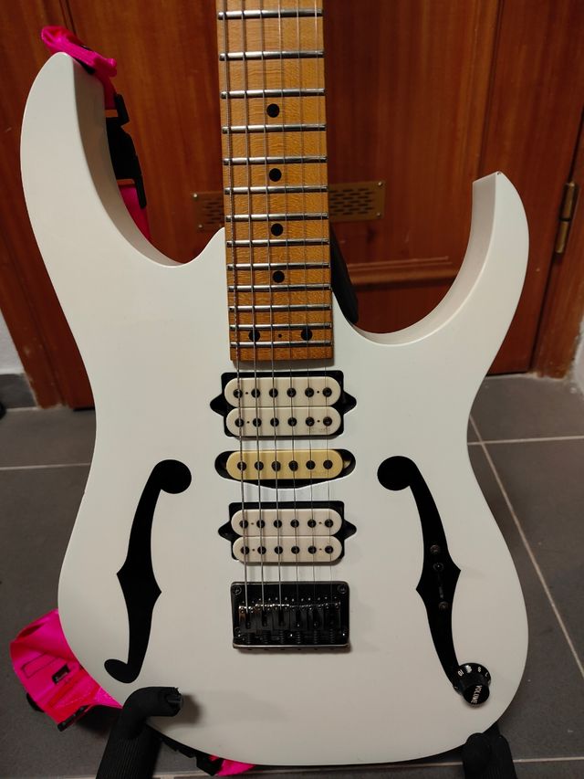Ibanez PGM301 Paul Gilbert Signature