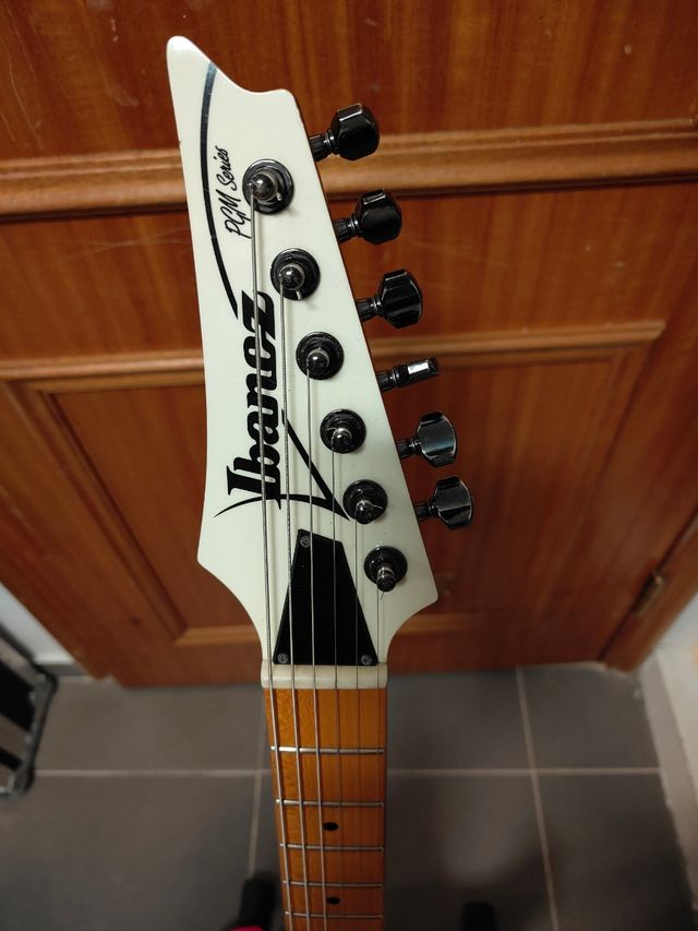 Ibanez PGM301 Paul Gilbert Signature