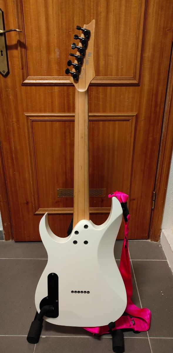 Ibanez PGM301 Paul Gilbert Signature