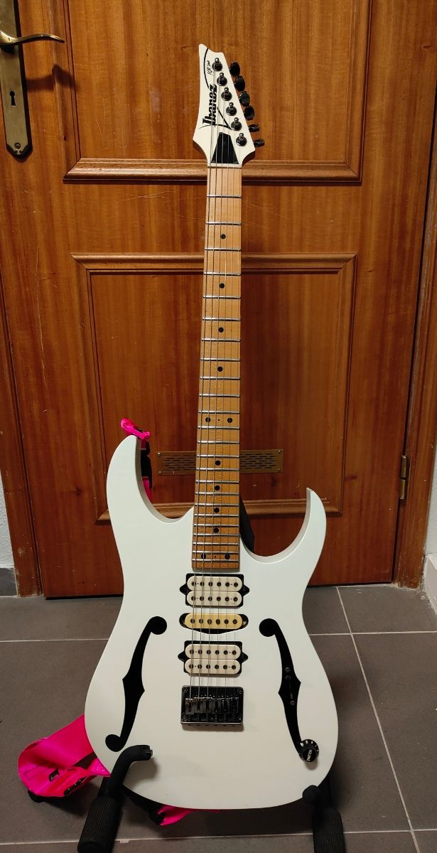 Ibanez PGM301 Paul Gilbert Signature