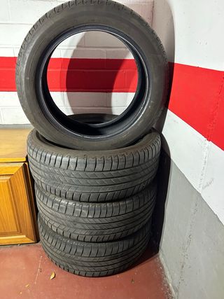 Ruedas Bridgestone 225 /50 R18 95W