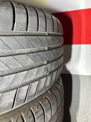 Ruedas Bridgestone 225 /50 R18 95W
