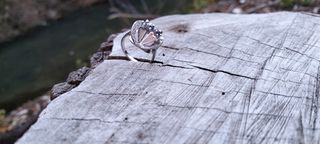 Anillo de plata con piedras azules.