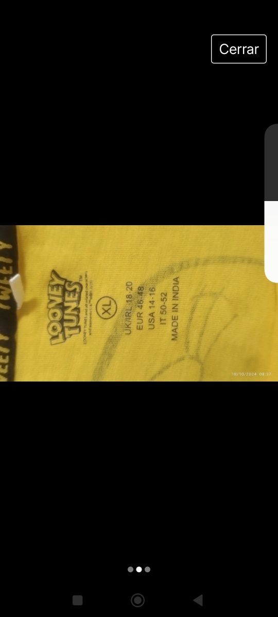 Camiseta de los Looney tunes