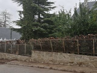 PODAS - TALAS