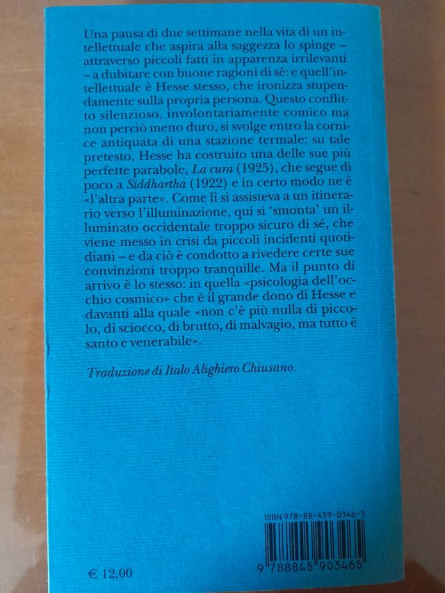 La cura Hermann Hesse