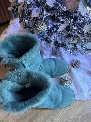 Botas ugg 