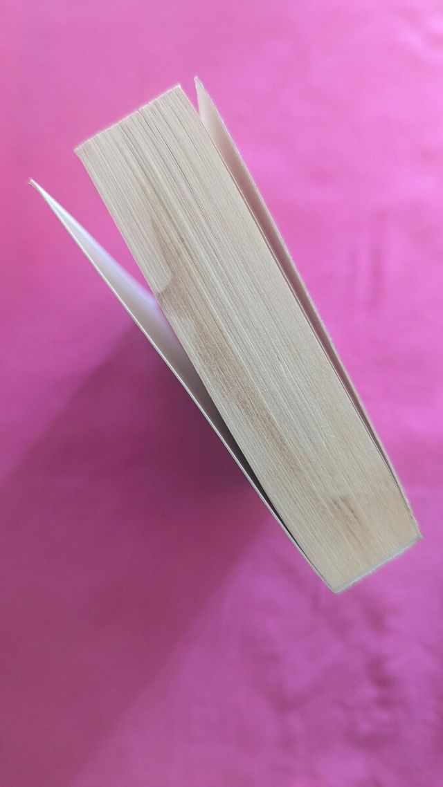 UNA NAVIDAD DIFERENTE.    Y  libro:     La tapader