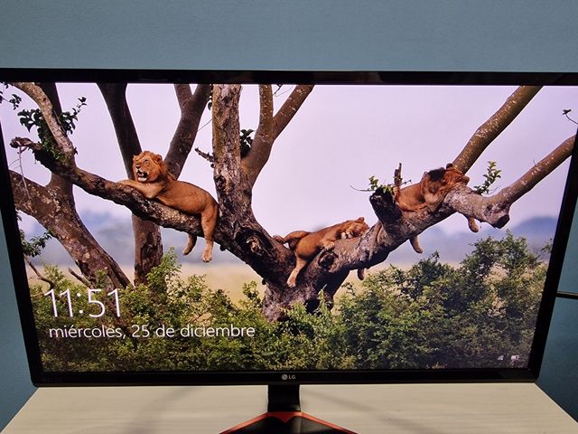 Monitor gaming LG 24"