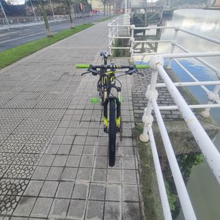 Scott scale full carbono