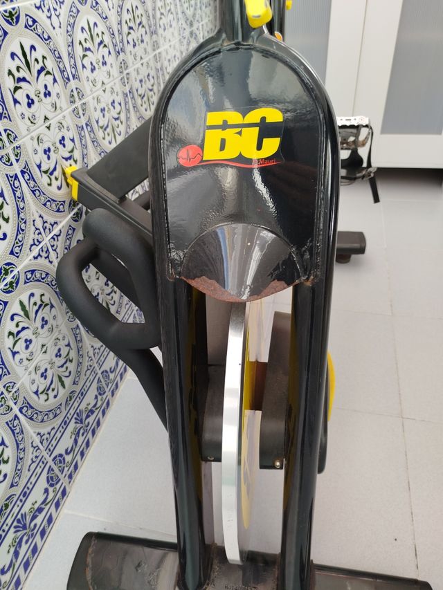 Bicicleta profesional Spining