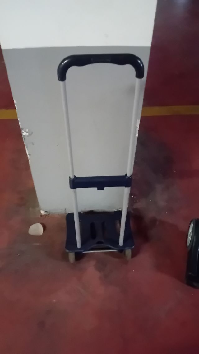 Carro mochila