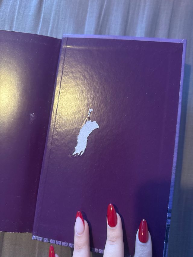 4. EL CEMENTERIO DE LOS ESPECTROS SANGRANTES