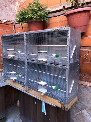 Jaulas/ modulos pajaros