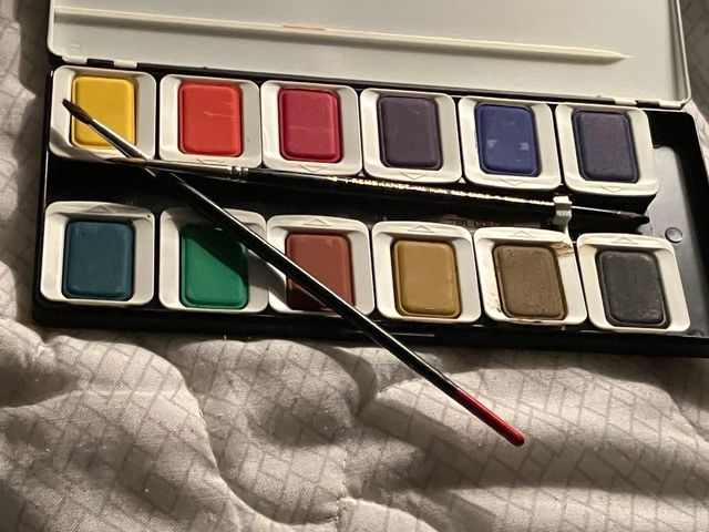 Set pelikan acuarelas finas con pinceles