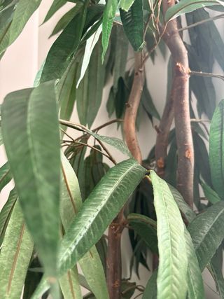 Planta artificial con macetero y luz led