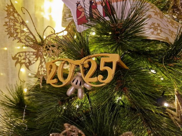 Gafas decoración nochevieja 2025