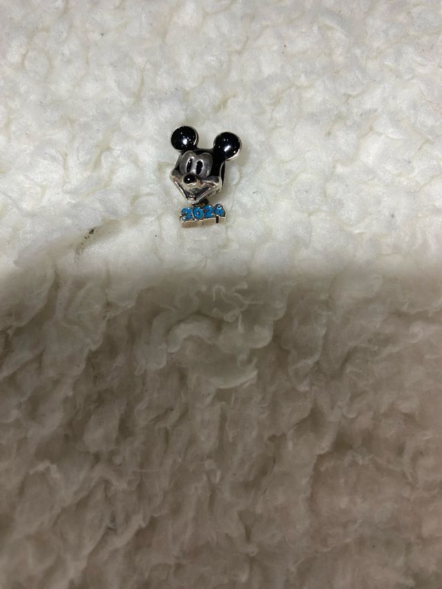 Champs de plata de Ley