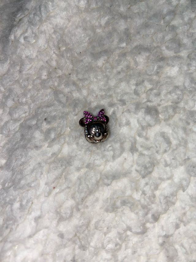 Champs de plata de Ley