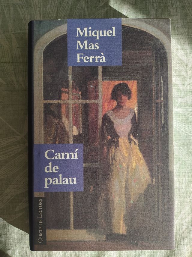 Llibre "Camí de Palau"