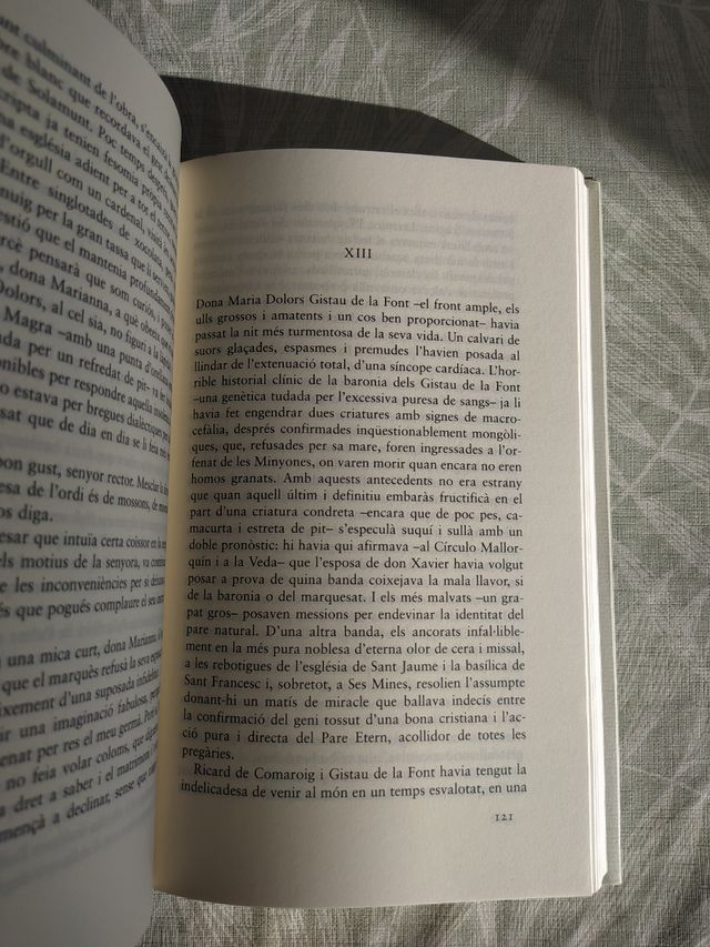 Llibre "Camí de Palau"