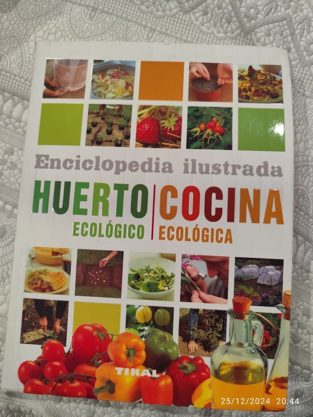 Huerto ecológico. Cocina ecológica