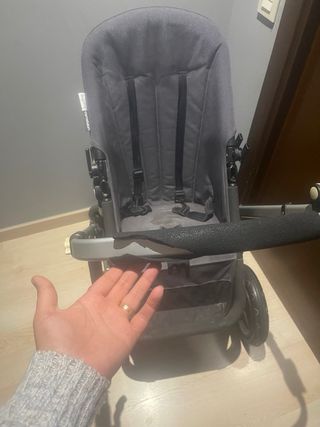 Carro bugaboo camaleón