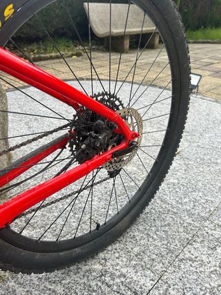 Trek marlin 8 2022