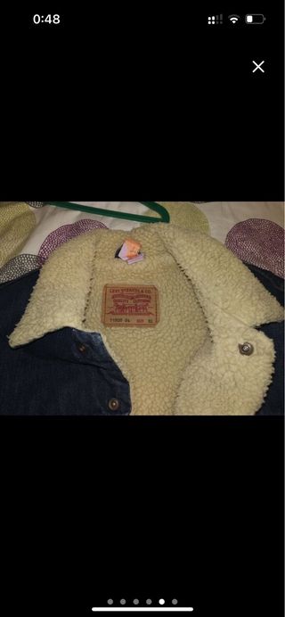 Borrego Levis