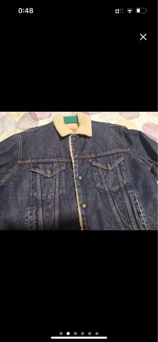 Borrego Levis