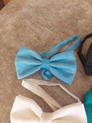 Pajaritas de seda