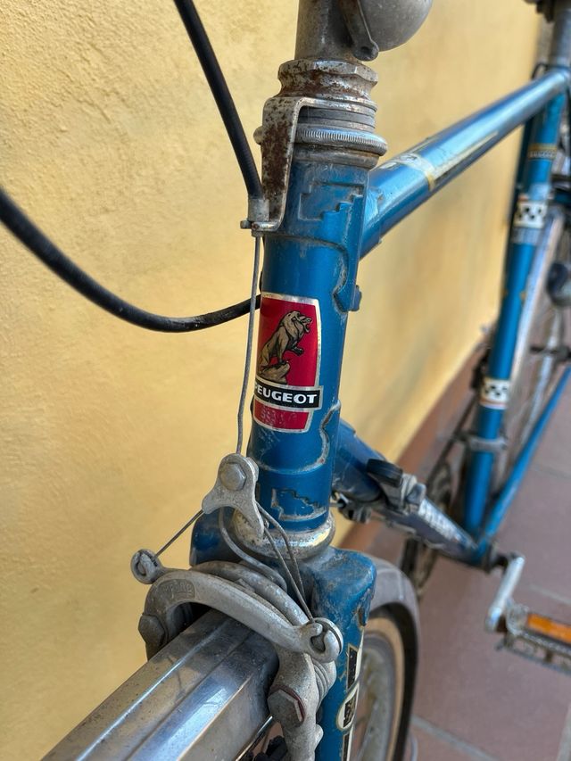 Bicicleta vintage