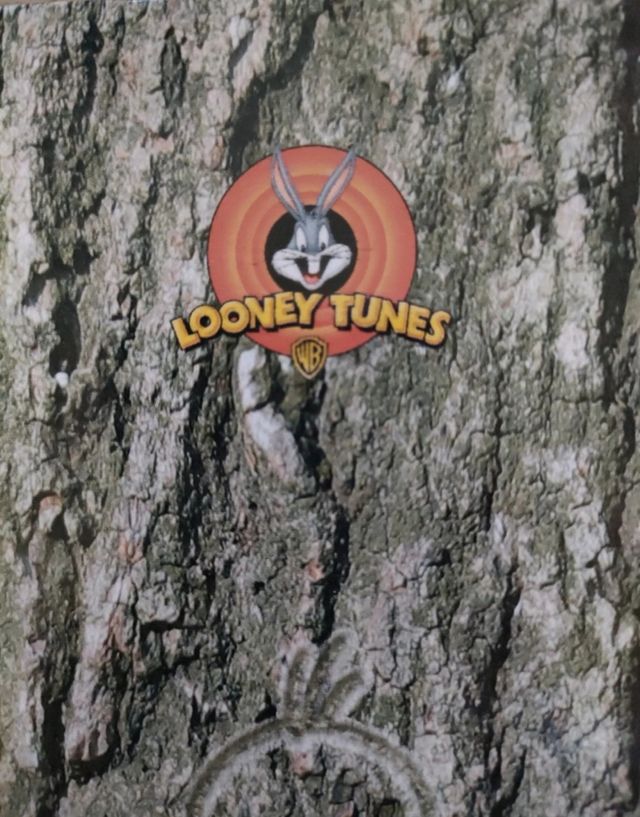 Juego diario ,agenda personal.Tweety.