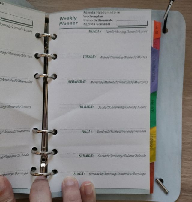 Juego diario ,agenda personal.Tweety.