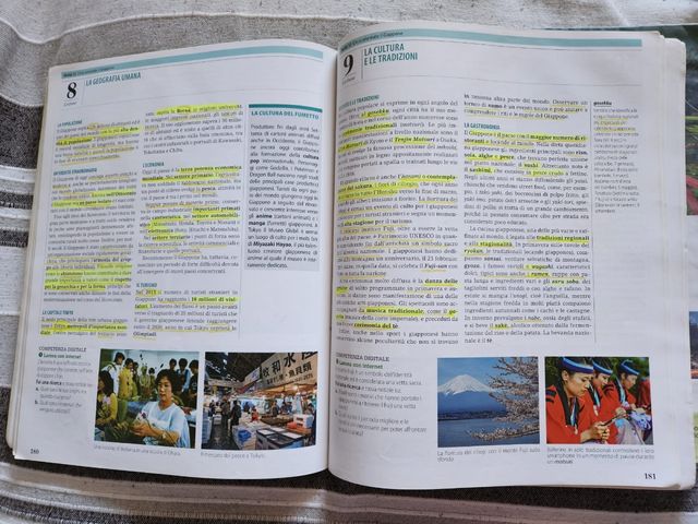 I paesaggi del turismo. Per le Scuole superiori. Paesi extraeuropei (Vol. 3)