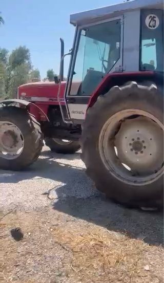 Tractor massey ferguson 3095