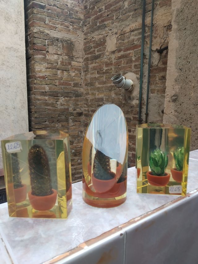 Cacto de metacrilato vintage