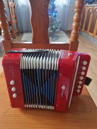Acordeón en impecable estado