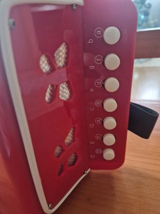 Acordeón en impecable estado