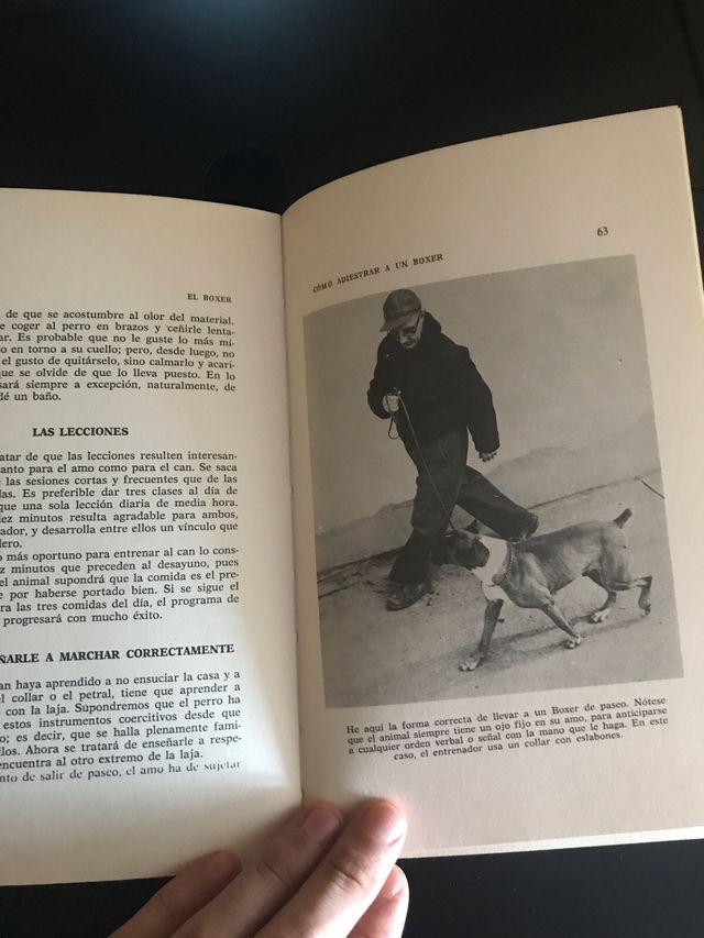 El Boxer  Criarlo y Adiestrarlo. Sarah M. Barbares