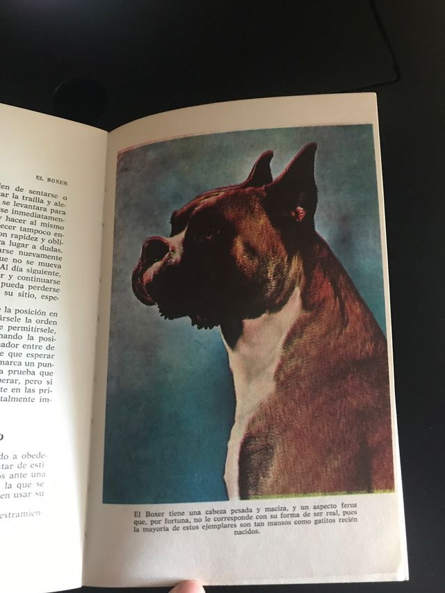 El Boxer  Criarlo y Adiestrarlo. Sarah M. Barbares