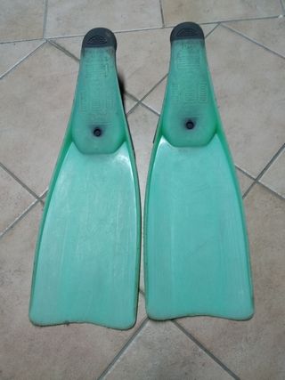 Pinne da mare 