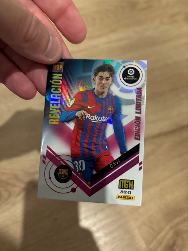 GAVI EDICIÓN LIMITADA