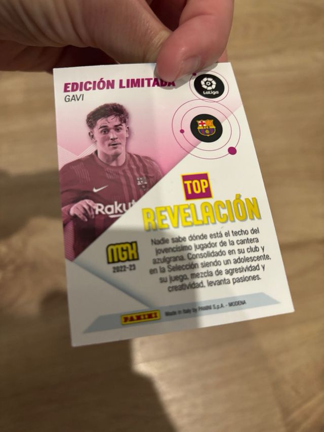 GAVI EDICIÓN LIMITADA