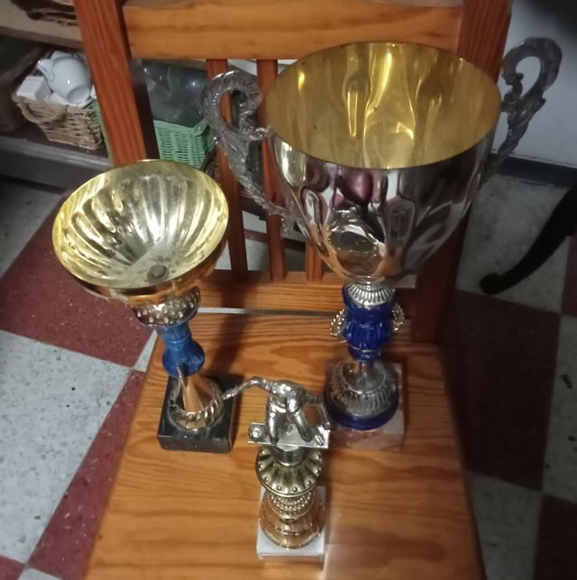 Trofeos deportivos