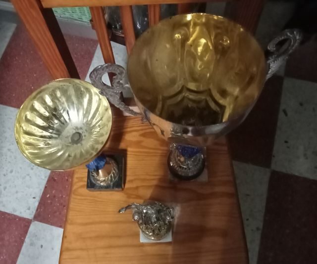 Trofeos deportivos