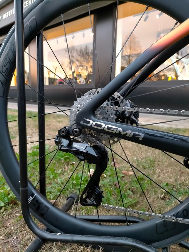 Pinarello Dogma 53 2025