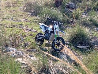 TODO 3 cosas, buggie,moto eléctrica y remolque.
