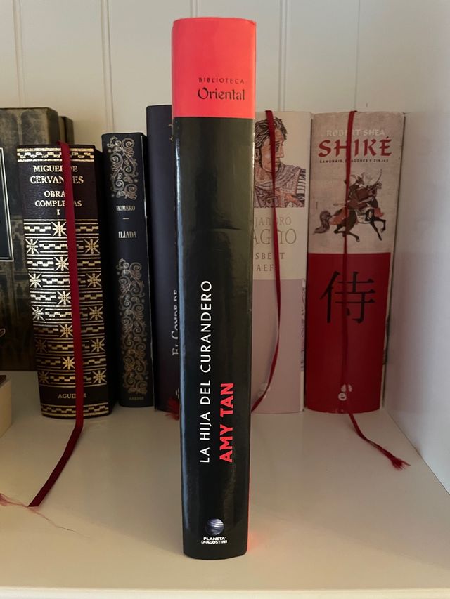 Libro “La hija del curandero”. 